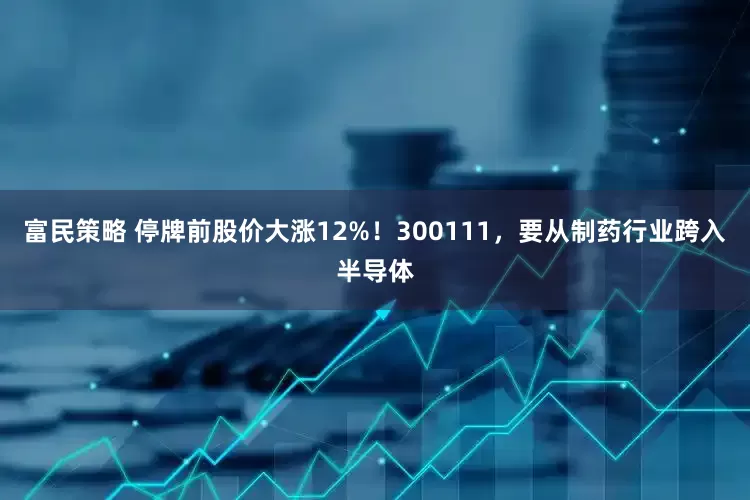 富民策略 停牌前股价大涨12%！300111，要从制药行业跨入半导体