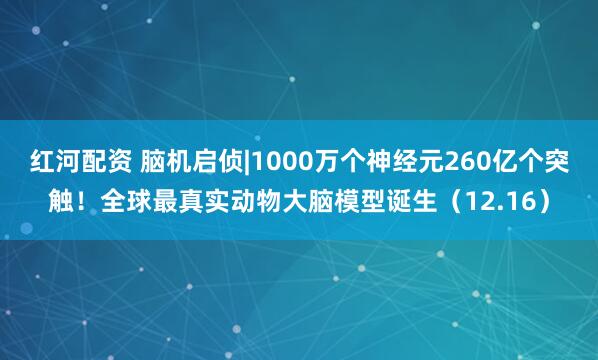 红河配资 脑机启侦|1000万个神经元260亿个突触！全球最真实动物大脑模型诞生（12.16）